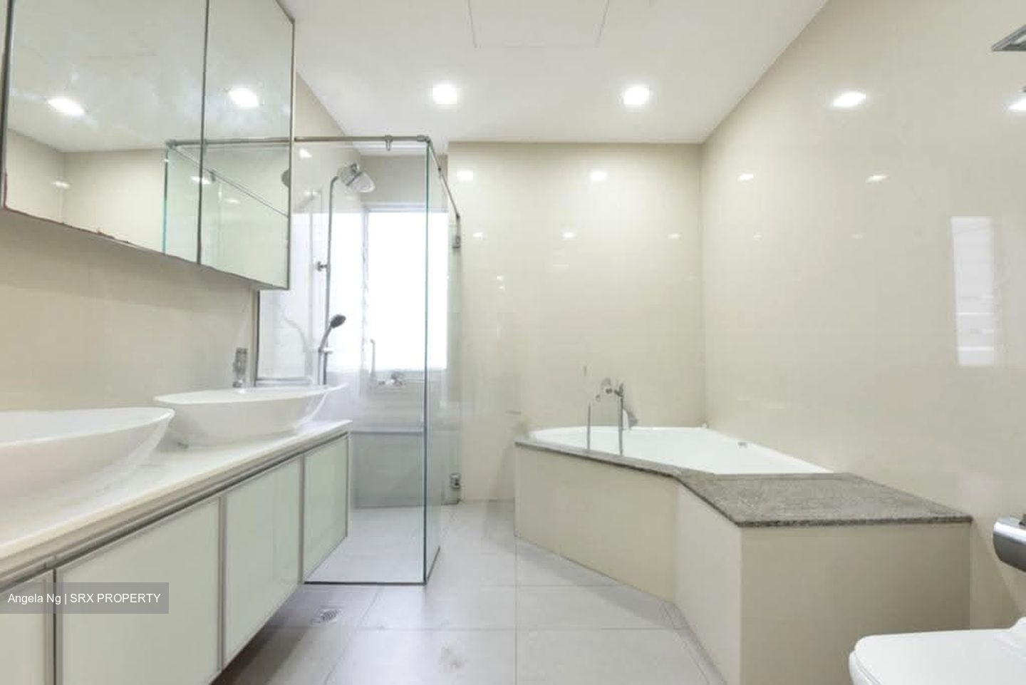 Regency Park (D10), Condominium #621680821